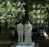 �i�`�������E�F���J���{�[�h